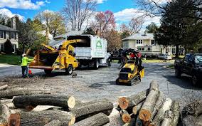 Best Leaf Removal  in Xtonia, PA